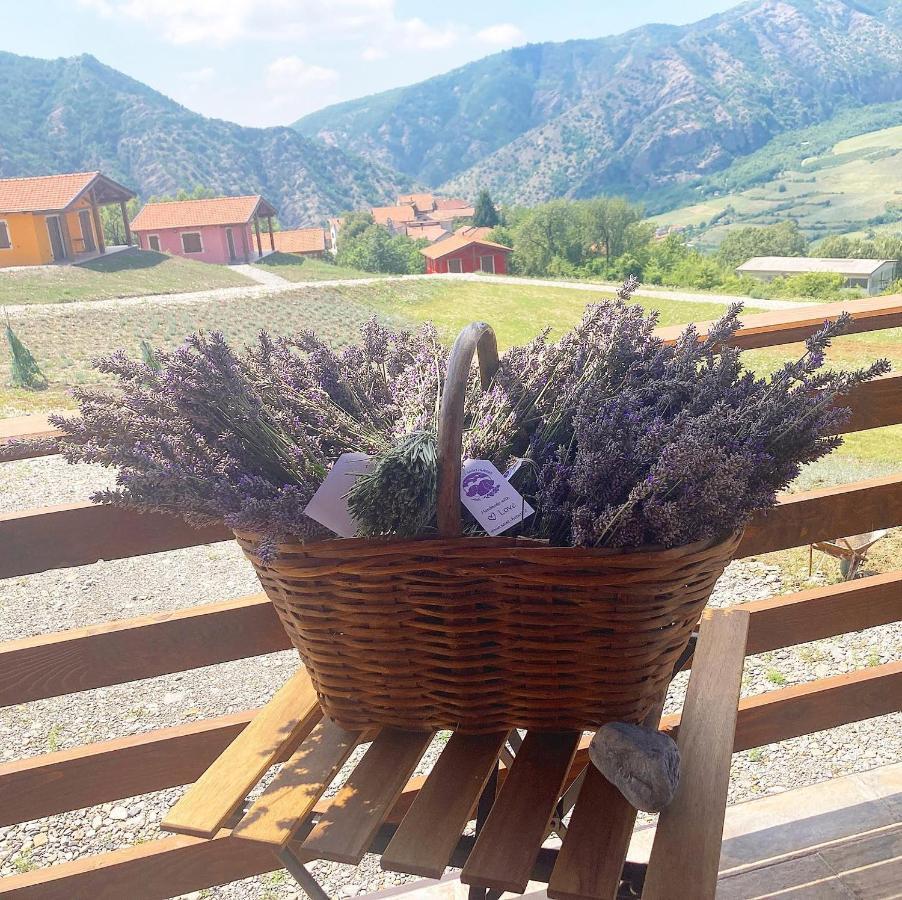 Azienda Agricola Saint Hubert Cantalupo Ligure 外观 照片